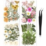 68-Piece Dried Pressed Flower and Leaf Set