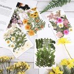 68-Piece Dried Pressed Flower and Leaf Set