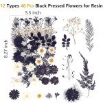 12 Tipi di Fiori Secchi per Resina