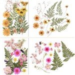 68-Piece Dried Pressed Flower and Leaf Set