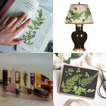 42 Dried Pressed Flowers and Leaves Set