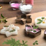 42 Dried Pressed Flowers and Leaves Set