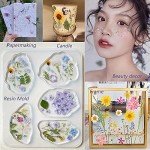 12 Tipi di Fiori Secchi per Resina