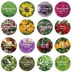 Dried Flowers and Herbs Kit – 16 Bags