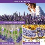 Dried Flowers and Herbs Kit – 16 Bags