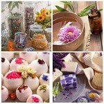 Dried Flowers and Herbs Kit – 16 Bags