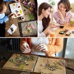 Dried Flowers and Herbs Kit – 16 Bags