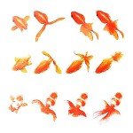 3D Koi Fish Resin Stickers for Art Projects
