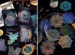 80 Large Holographic Resin Art Stickers Set