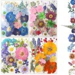 80Pcs Natural Dried Pressed Flowers for Resin Art