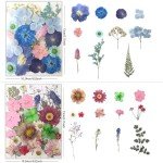 80Pcs Natural Dried Pressed Flowers for Resin Art