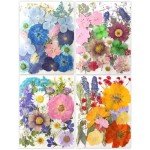 80Pcs Natural Dried Pressed Flowers for Resin Art