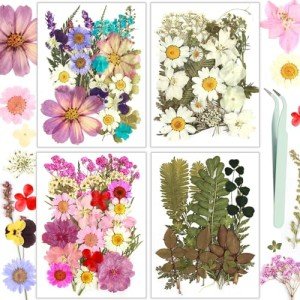 100Pcs Dried Pressed Flowers for Resin Crafts