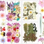 100Pcs Dried Pressed Flowers for Resin Crafts