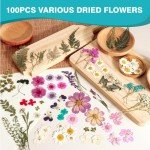 100Pcs Dried Pressed Flowers for Resin Crafts