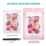 100Pcs Dried Pressed Flowers for Resin Crafts