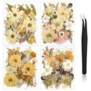 Boho Dried Flower Set for Resin Crafts