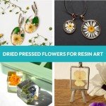 100Pcs Dried Pressed Flowers for Resin Crafts