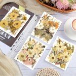 Boho Dried Flower Set for Resin Crafts