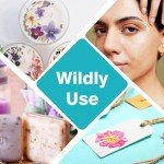 100Pcs Dried Pressed Flowers for Resin Crafts