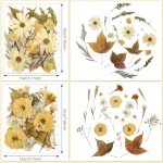 Boho Dried Flower Set for Resin Crafts