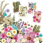 100Pcs Dried Pressed Flowers for Resin Crafts
