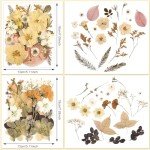 Boho Dried Flower Set for Resin Crafts