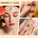 Boho Dried Flower Set for Resin Crafts