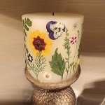 48PCS Dried Flowers and Leaves for Resin Art