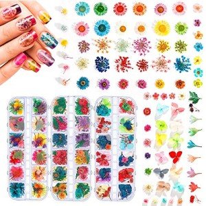 324PCS Dried Flowers for Nail Art Kits