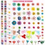 324PCS Dried Flowers for Nail Art Kits