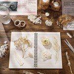Dried Flowers Mix for Resin Art Projects