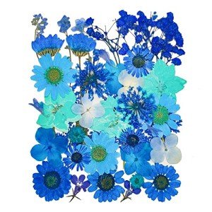 37pcs Blue Dried Pressed Flowers for Resin Art