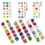 324PCS Dried Flowers for Nail Art Kits