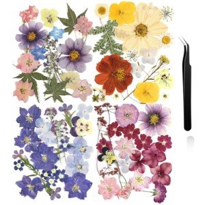 Bulk Dried Pressed Flowers for Resin Art