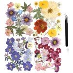 Bulk Dried Pressed Flowers for Resin Art