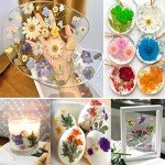 37pcs Blue Dried Pressed Flowers for Resin Art