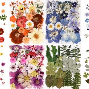 Colorful Pressed Flowers for Resin Art Projects