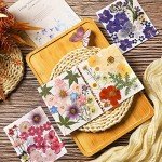 Bulk Dried Pressed Flowers for Resin Art