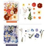 Colorful Pressed Flowers for Resin Art Projects