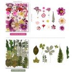 Colorful Pressed Flowers for Resin Art Projects