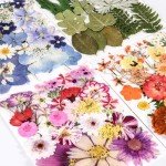 Colorful Pressed Flowers for Resin Art Projects