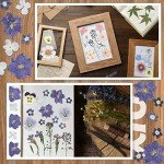 Bulk Dried Pressed Flowers for Resin Art