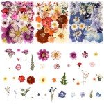 Colorful Pressed Flowers for Resin Art Projects