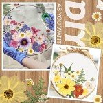 Bulk Dried Pressed Flowers for Resin Art