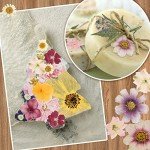 Bulk Dried Pressed Flowers for Resin Art