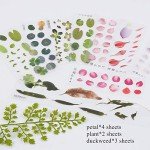 18 Sheets Goldfish & Koi Pond Resin Stickers