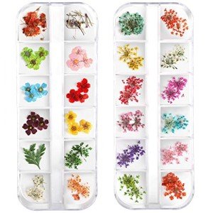 24-Color Dried Flowers for Nail Art Decor