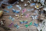 Butterfly & Dragonfly Insect Stickers Set (240 Pieces)