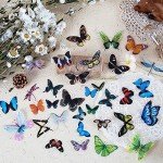 Butterfly & Dragonfly Insect Stickers Set (240 Pieces)